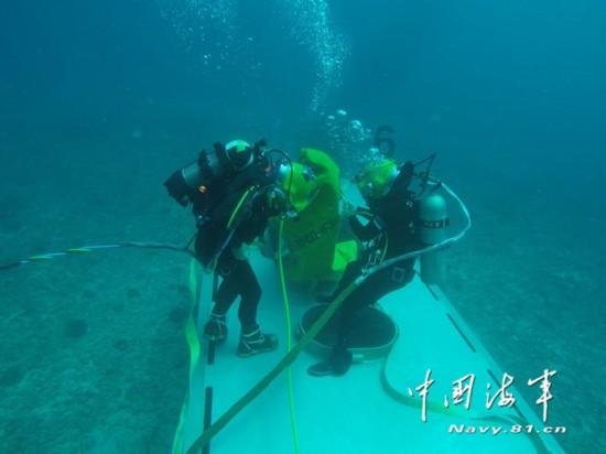 拼多多直播间公开售卖产地肉锥|志愿者来信反映|肉锥清网行动