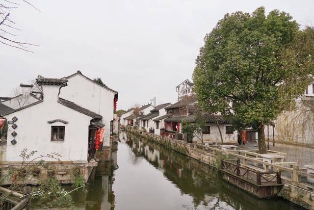 郓城一教师路边救人不留名…